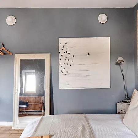 Design Iii Minimalus *